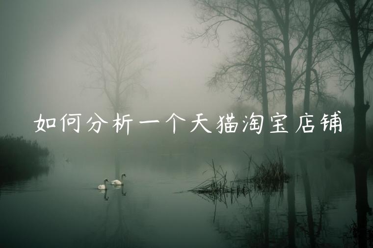 如何分析一個天貓?zhí)詫毜赇? title='如何分析一個天貓?zhí)詫毜赇? alt='如何分析一個天貓?zhí)詫毜赇?><p>想要運營好淘寶天貓店鋪，我們就需要定期對店鋪進行分析，了解它的數(shù)據(jù)情況，然后做出相應(yīng)的調(diào)整，那么我們該如何對店鋪進行分析呢？天貓托管小編總結(jié)了11個分析切入點。</p><p>1.整店DSR評分（是否低于同行水平）；</p><p>2.寶貝評價（主要看分值，如低于4.5分，那么產(chǎn)品質(zhì)量、服務(wù)態(tài)度或者發(fā)貨速度有問題）</p><p>3.標題描述（標題作用就是能否帶來流量，大部分店鋪標題描述過長、關(guān)鍵詞過多、過泛，這樣是不符合淘寶內(nèi)部規(guī)則的，另外標題描述是否突出產(chǎn)品賣點吸引流量）；</p><p>4.首頁、內(nèi)頁等頁面裝修和店鋪風(fēng)格（風(fēng)格跟客戶人群是否搭配、產(chǎn)品分類是否合理清晰、圖片拍攝效果、美工創(chuàng)意）；</p><p>5.產(chǎn)品定價（我們可以結(jié)合自己的購物感受、同行同款產(chǎn)品價格先去判定價格高低，是否合理。如價格低，可能是考慮成本、品質(zhì)、是不是走量、利潤空間等，如價格高，是不是走中高端市場的等。爆款產(chǎn)品重點引流以及提升人氣，利潤要低）；</p><p>6.熱銷寶貝頁面（圖片是否清晰、有吸引力，與市場產(chǎn)品比寶貝描述是否突出優(yōu)勢、寶貝詳情是否有利于優(yōu)化，總銷量情況已經(jīng)當月銷量情況，關(guān)聯(lián)銷售是否做起來）；</p><p>7.店鋪內(nèi)有無促銷活動（是否具有吸引力以及展現(xiàn)是否突出）,有無熱銷產(chǎn)品或爆款，爆款銷量是否打造起來，目前打造爆款的方式是否合理；</p><p>8.默認排名（相關(guān)關(guān)鍵詞）首頁能否出現(xiàn)（如沒有出現(xiàn)分析關(guān)鍵詞描述是否符合排名規(guī)則、動態(tài)評分，人氣收藏量、銷售量、轉(zhuǎn)化率）；</p><p>9.用戶評價：評價量跟銷售量是否對稱、評價得分（如低了解是質(zhì)量問題，服務(wù)問題還是發(fā)貨速度問題）；</p><p>10.寶貝銷量排行榜，可以點擊銷量最高的那款產(chǎn)品，再結(jié)合近期的銷售記錄進行分析，了解爆款打造效果；</p><p>11.產(chǎn)品材質(zhì)分析，可以結(jié)合同行的產(chǎn)品比對分析。</p><p>專業(yè)淘寶/天貓/京東/速賣通代運營服務(wù)商：</p><p>幕思城為您更新最近最有用的電商資訊、電商規(guī)則天貓,天貓銷量天貓問答。了解更多電商資訊、行業(yè)動向，記得關(guān)注幕思城！</p><p class=